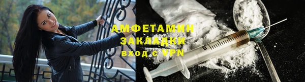 прущие грибы Володарск