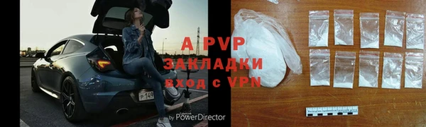 прущие грибы Володарск