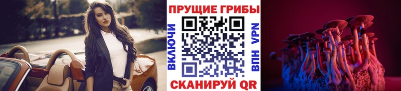 Галлюциногенные грибы Psilocybe  Купить где  Дятьково 