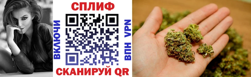 Марихуана Bruce Banner  Купить закладки  Дятьково 